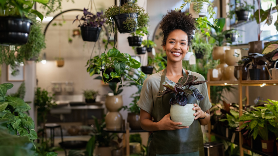 From Succulents to Trees: Most Unique Twin Cities Plant Retailers | Counselor Realty