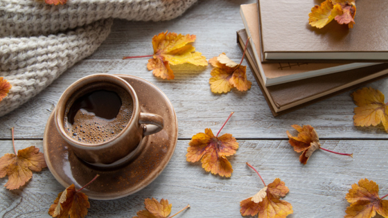 Twin Cities Shops to Find Your Next Cozy Autumn Book | Counselor Realty